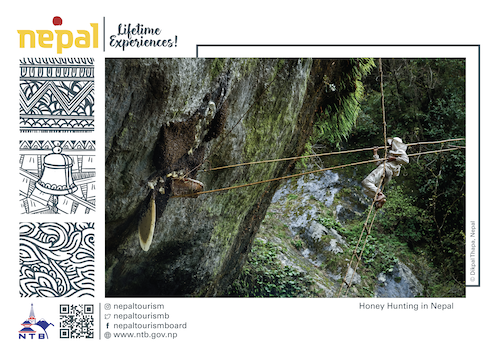 Honey Hunting in Nepal