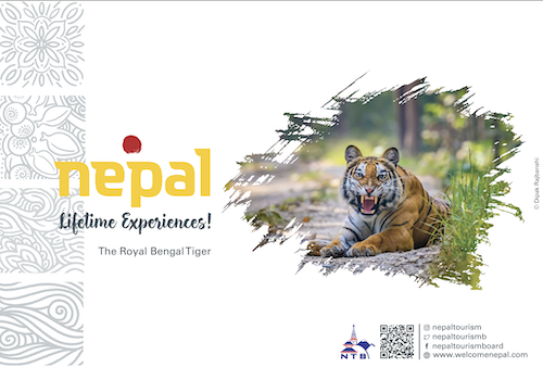 The Royal Bengal Tiger