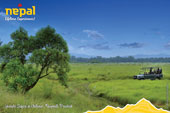 Jungle Safari in Chitwan