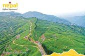 Tea gardens
